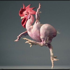 Meet your Posher, Wendy